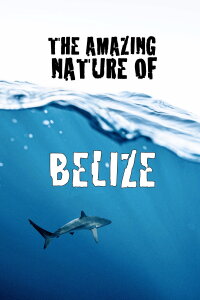 The Amazing Nature of Belize (2022)