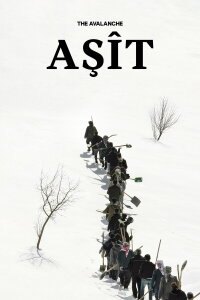 The Avalanche (2023)