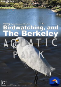 The Berkeley Aquatic Park (2021)