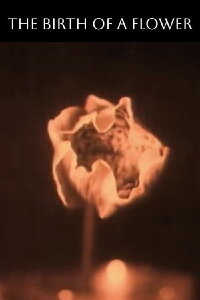The Birth of a Flower (1910)