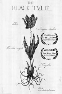 The Black Tulip (2013)