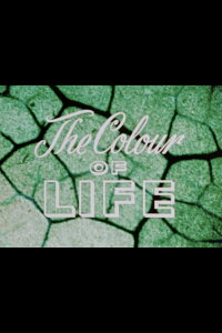 The Colour of Life (1955)