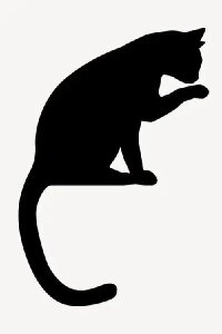 The Crooked Taled Cat (2015)