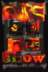 The Cure: Show (1993)
