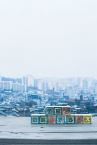The Drop Box (2015)
