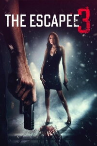 The Escapee 3: The Final Escape (2024)