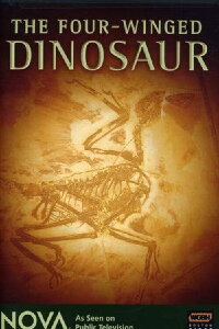 The Four-Winged Dinosaur (2008)