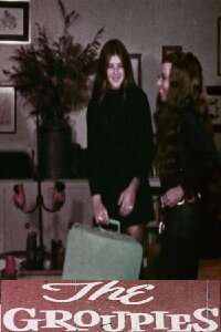 The Groupies (1971)