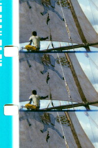 The Horse of the Prophet (2011)