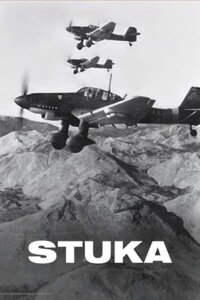 The JU 87 Stuka (1999)