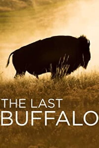 The Last Buffalo (2017)
