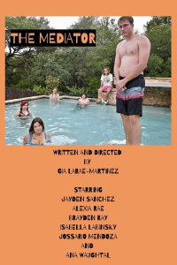 The Mediator (2024)