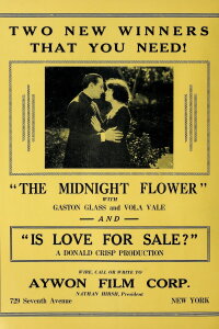 The Midnight Flower (1923)