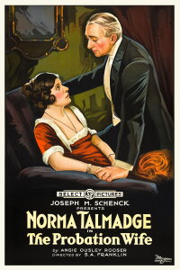 The Probation Wife (1919)