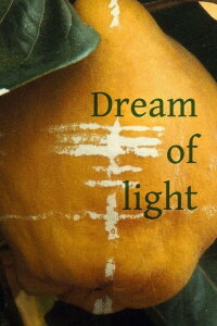 The Quince Tree Sun (1992)