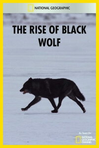 The Rise of Black Wolf (2010)