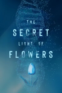 The Secret Light of Flowers (2023)