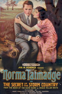 The Secret of the Storm Country (1917)