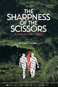 The Sharpness of the Scissors (2023)