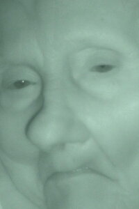 The Shell (2022)