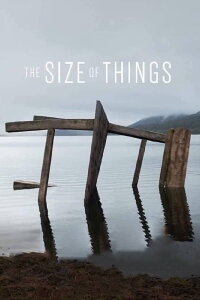 The Size of Things (2019)