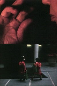 The Star Farther Than Night (1995)