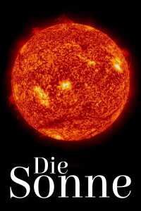 The Sun (2024)