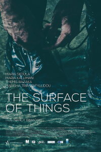 The Surface of Things (2017)