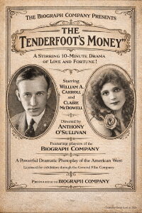 The Tenderfoot's Money (1913)