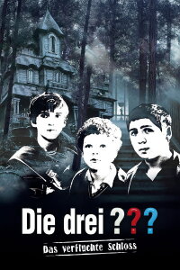 The Three Investigators in The Secret of Terror Castle (2009)