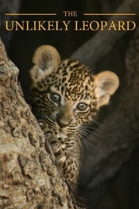 The Unlikely Leopard (2012)