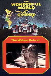 The Wahoo Bobcat (1963)