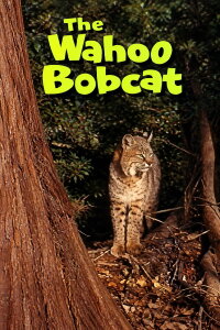 The Wahoo Bobcat (1963)