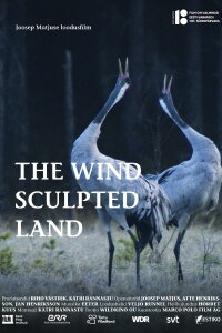 The Wind Sculpted Land (2018)