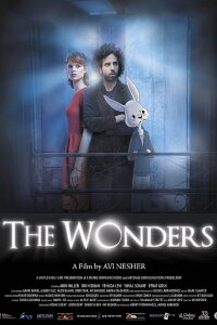 The Wonders (2013)