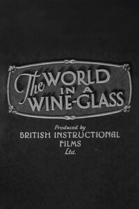 The World in a Wine-Glass (1931)