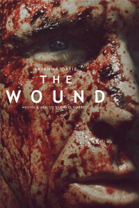 The Wound (2013)