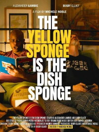 The Yellow Sponge is the Dish Sponge (2024)