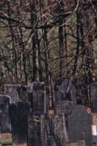 Threnody (2015)
