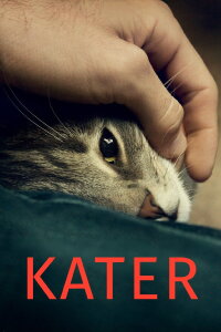 Tomcat (2016)