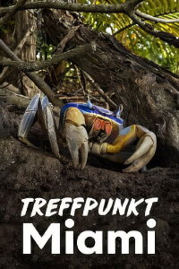 Treffpunkt Miami (2022)