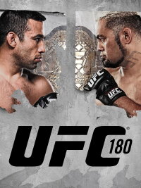 UFC 180: Werdum vs. Hunt (2014)