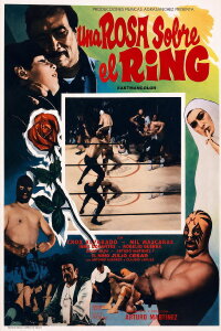 Una rosa sobre el ring (1973)