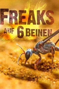 Unglaubliche Insekten (2016)