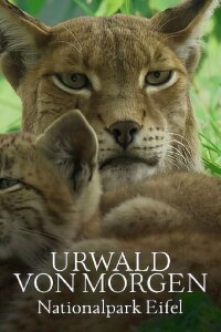 Urwald von morgen – Nationalpark Eifel (2023)