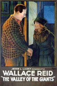 Valley of the Giants (1919)