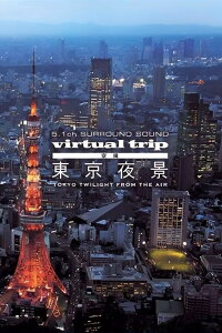 Virtual Trip: Tokyo Twilight from the Air (2008)