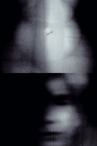 Vivantes lueurs (2003)