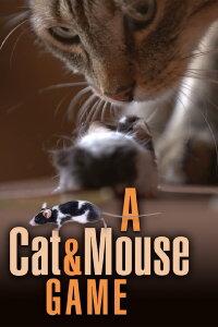 Von Katze und Maus – Das ewige Duell (2019)