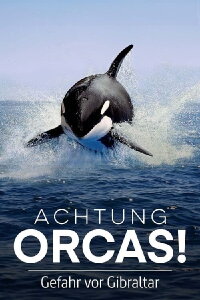 Watch Out for Orcas! Danger Off Gibraltar? (2024)